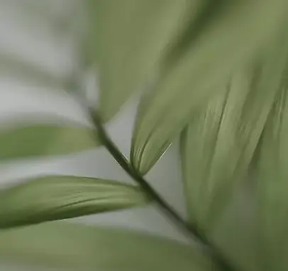 Banner LP (550 x 580 px)_jpg.webp