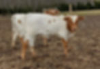 Photo Taken 1/11/20