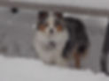 B407A7E6-41E3-40D6-8654-B33AFE25DA61.jpeg
