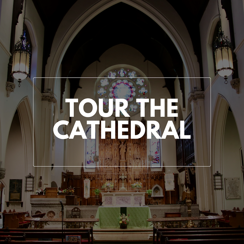 Tour St. Luke's