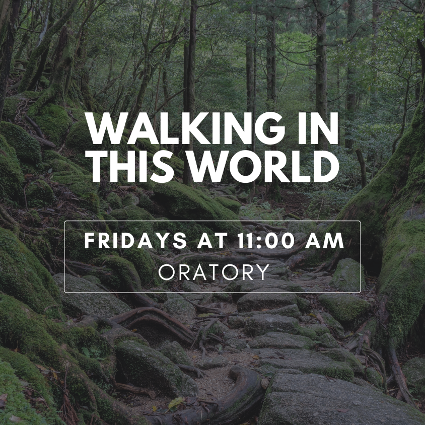 Walking in this World: The Practical Art of Creativity