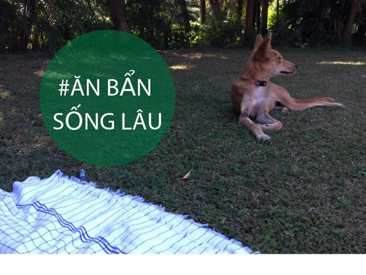 THẾ NÀO LÀ "BẨN"?🐾