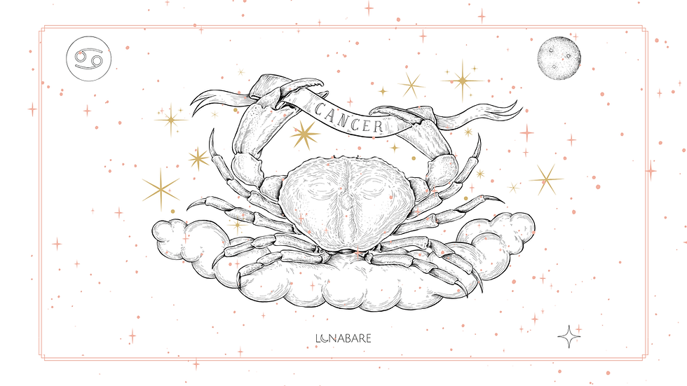 Untitled (Presentation).png