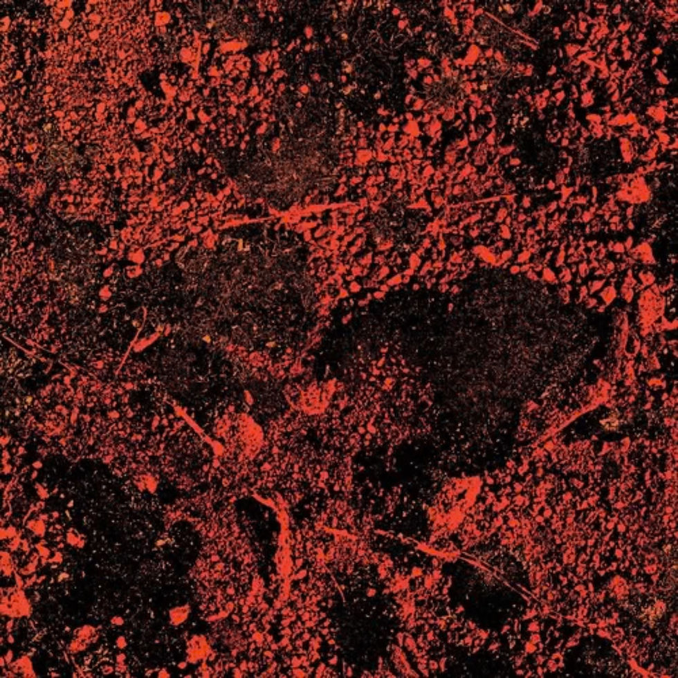 Thumbnail: King Gizzard And The Lizard Wizard-Murder Of The Universe (VINYL RECORD)