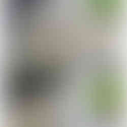 driveway cleaning by true restore pressure washing in pottstown, pa