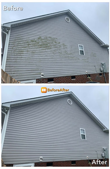 Before and after of house washing in Sinking Spring PA showing removal of green algae and mold from siding by True Restore