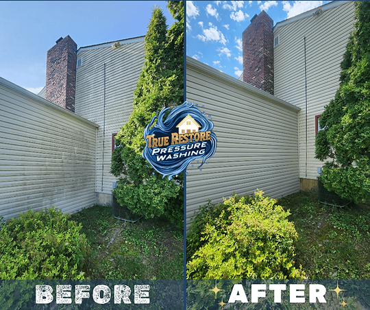 Professional house washing before and after cleaning vinyl siding in Birdsboro, PA