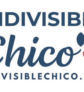 indivisiblechico tshirt logo_edited_edit