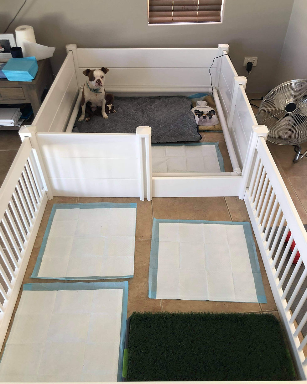 Thumbnail: Large PVC Whelping Box Kit