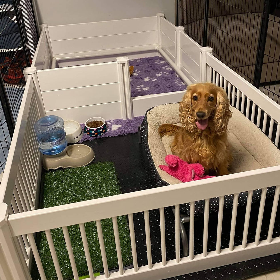 Thumbnail: Medium  PVC Whelping Box with Playpen