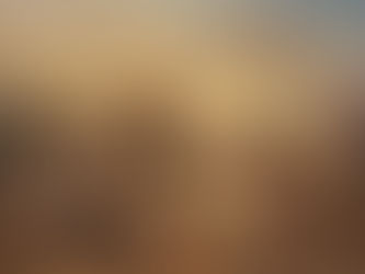 São Severino abençoa a terra da Áustria, Hans Gustav Dittenberger von Dittenberg