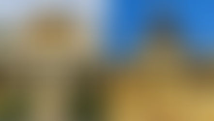 Dedicação das Basílicas de São Pedro e São Paulo