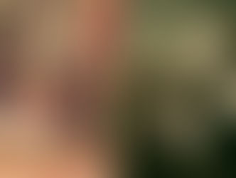 Vida de São Marcos Evangelista e Santo Aniano de Alexandria (25 de abril)