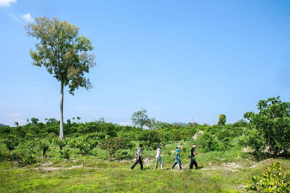 Ta Lai Activity _Trekking_001