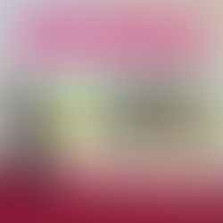 【2月定例会が始まっております☆彡】