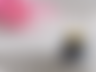 Giardini Zen e Karesansui