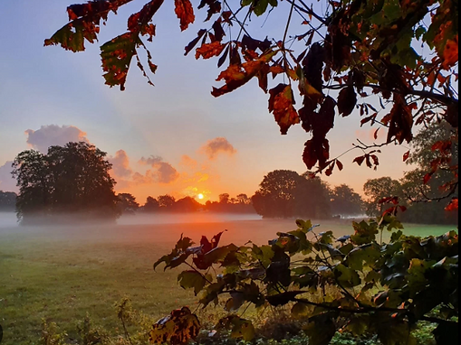 Golden hour sunset over the lake at Scadbury Park in Orpington, a beautiful outdoor photography location in South East London