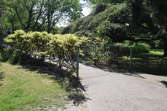 Sunlit garden path with iron railings and climbing plants in Wilmington, a popular outdoor photography location in South East London