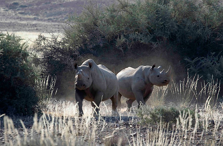 0W1A0657 copy 2 low qual.jpg