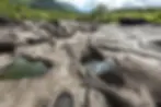 chapada dos veadeiros