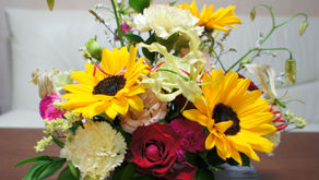 日記も付けたことがないのに始めました