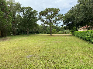 IMG_8627.jpg