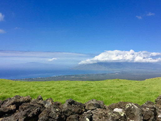 Aloha Hawaii!
