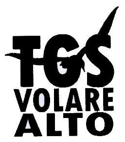 logoTGSvolarealto copia.gif