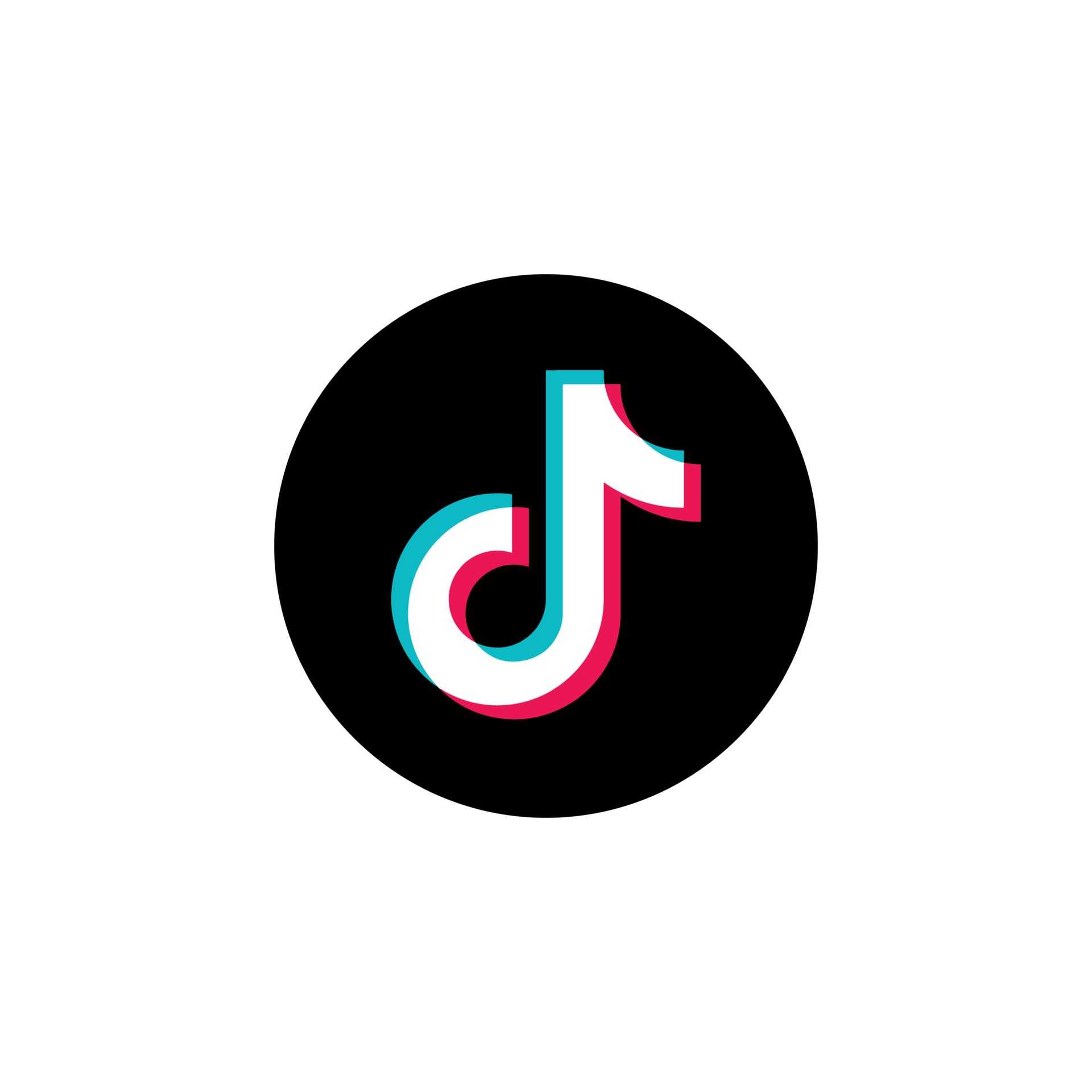 TikTok Logo