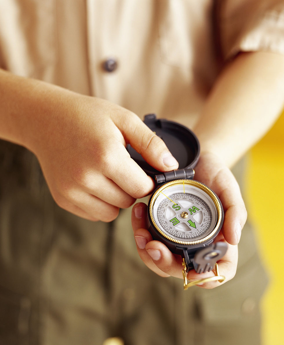 Person Holding Compass