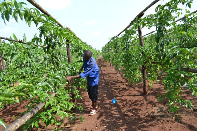 Agriculture project