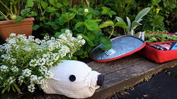 11698499_895239120547168_2152311155237759396_n[1]