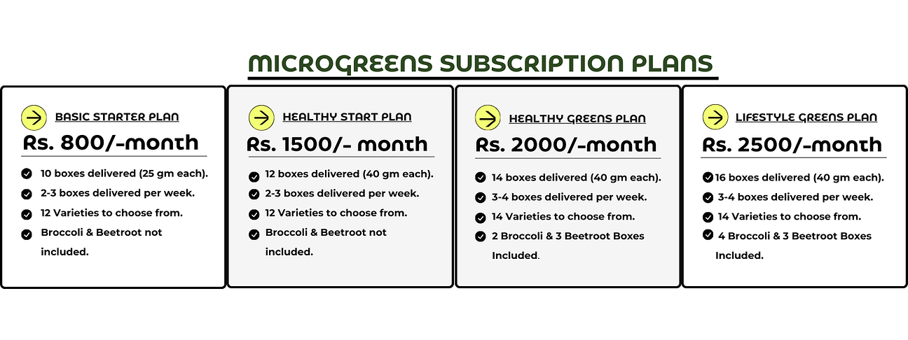 SP WEBSITE (2000 x 750 px) (1).png