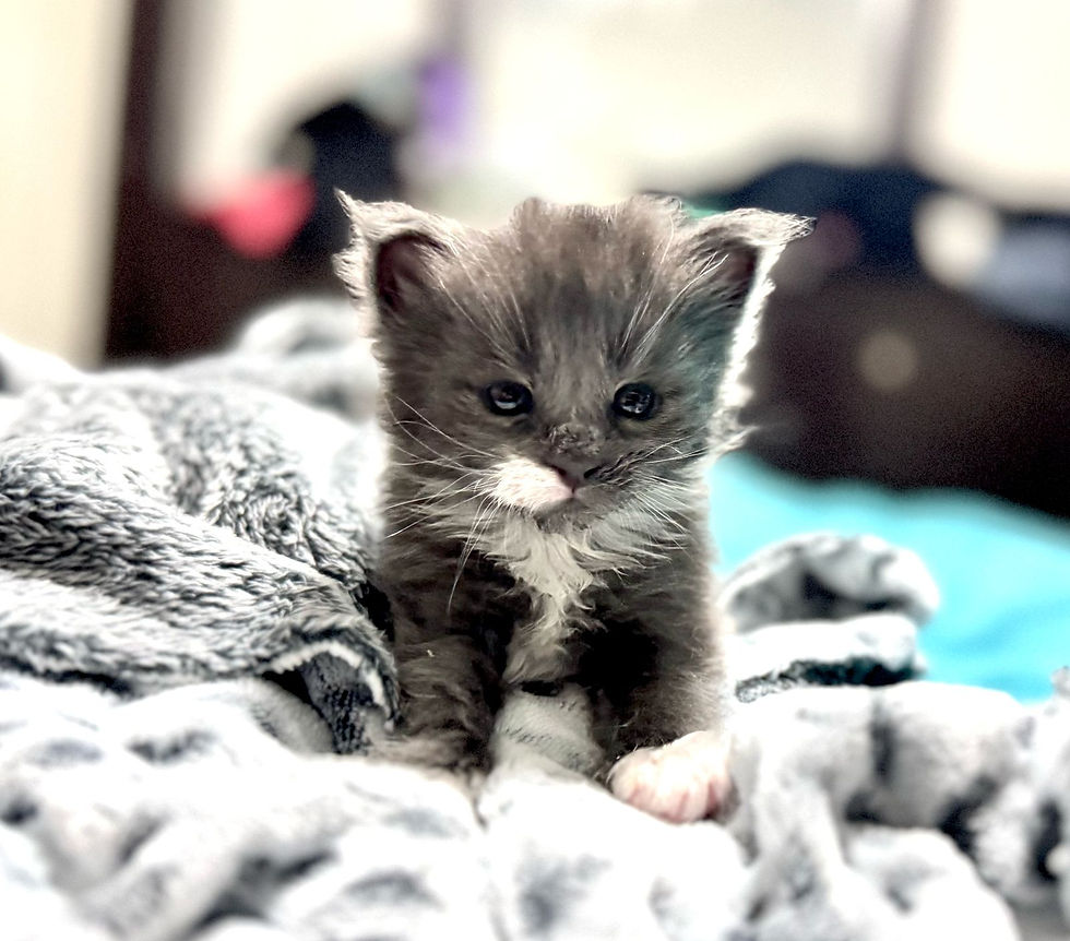 05212a2f-badb-43ad-b804-fecc8182b440