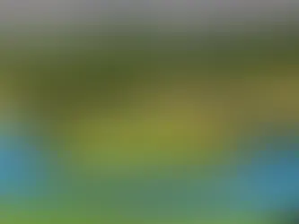 The Ultimate Washington Dream 18 – Front 9