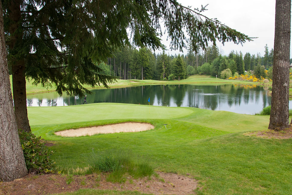 Gold Mountain GC, Hole 15