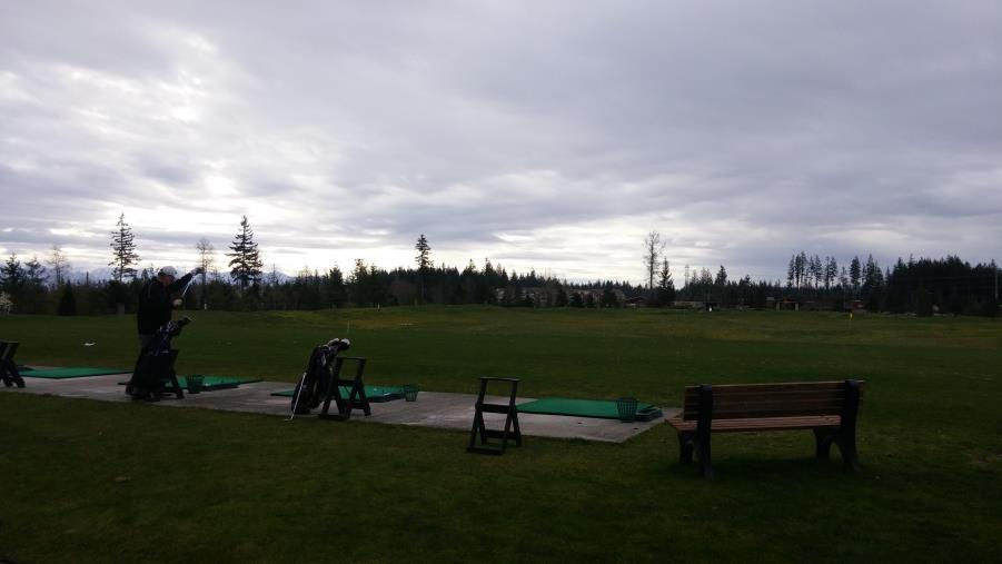 Golfer swings on a grassy driving range under a cloudy sky. Trees line the horizon. Benches and golf bags are visible. Quiet, peaceful mood.