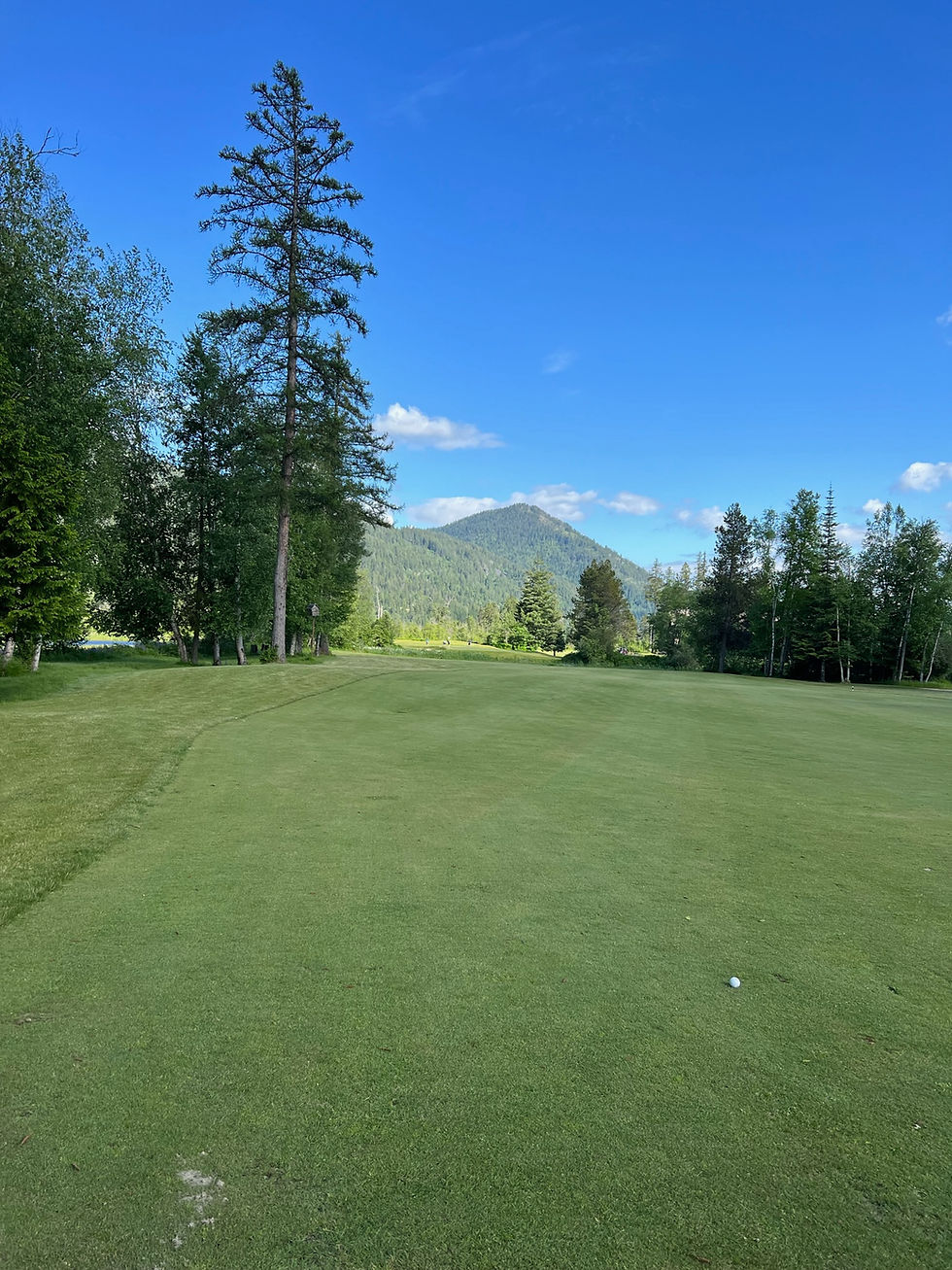 Green golf course under a clear blue sky, with tall trees lining the sides and a mountain in the background. A golf ball lies on the grass.