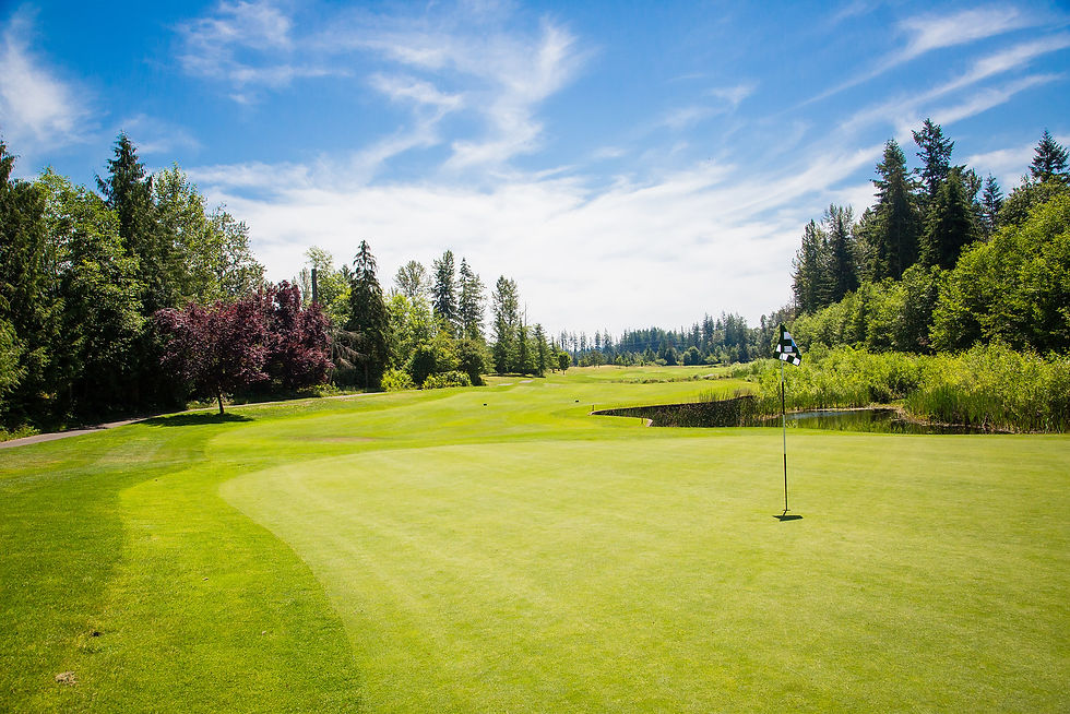 Golf course with green grass, checkered flag on the hole, surrounded by trees. Bright blue sky and scattered clouds add a serene feel.