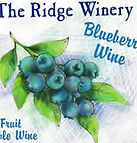 14-Blueberry_edited.jpg