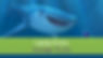 1064