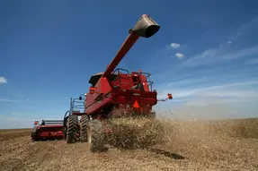 Safra baiana cresce 12% e projeta novo recorde de produção em 2025