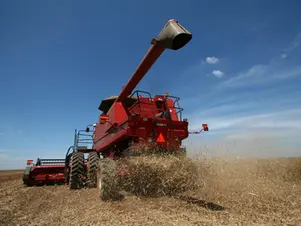 Safra baiana cresce 12% e projeta novo recorde de produção em 2025