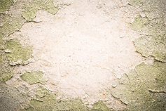 ChatGPT Image Feb 11, 2026, 12_20_37 PM.png