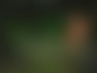 Vulnerability in Leadership