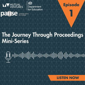The Journey Through Proceedings  Mini-Series: Episode 1