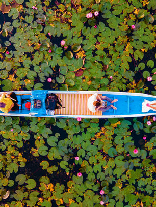 The Ultimate Guide to the Red Lotus Sea Thailand