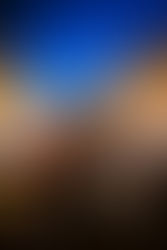 Strolling through my favorite city in the Netherlands, wandering along the Amsterdam canals