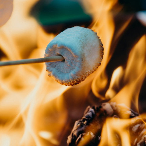 Campfire Marshmallow | Lakehouse Candle Company, Nashville, IN