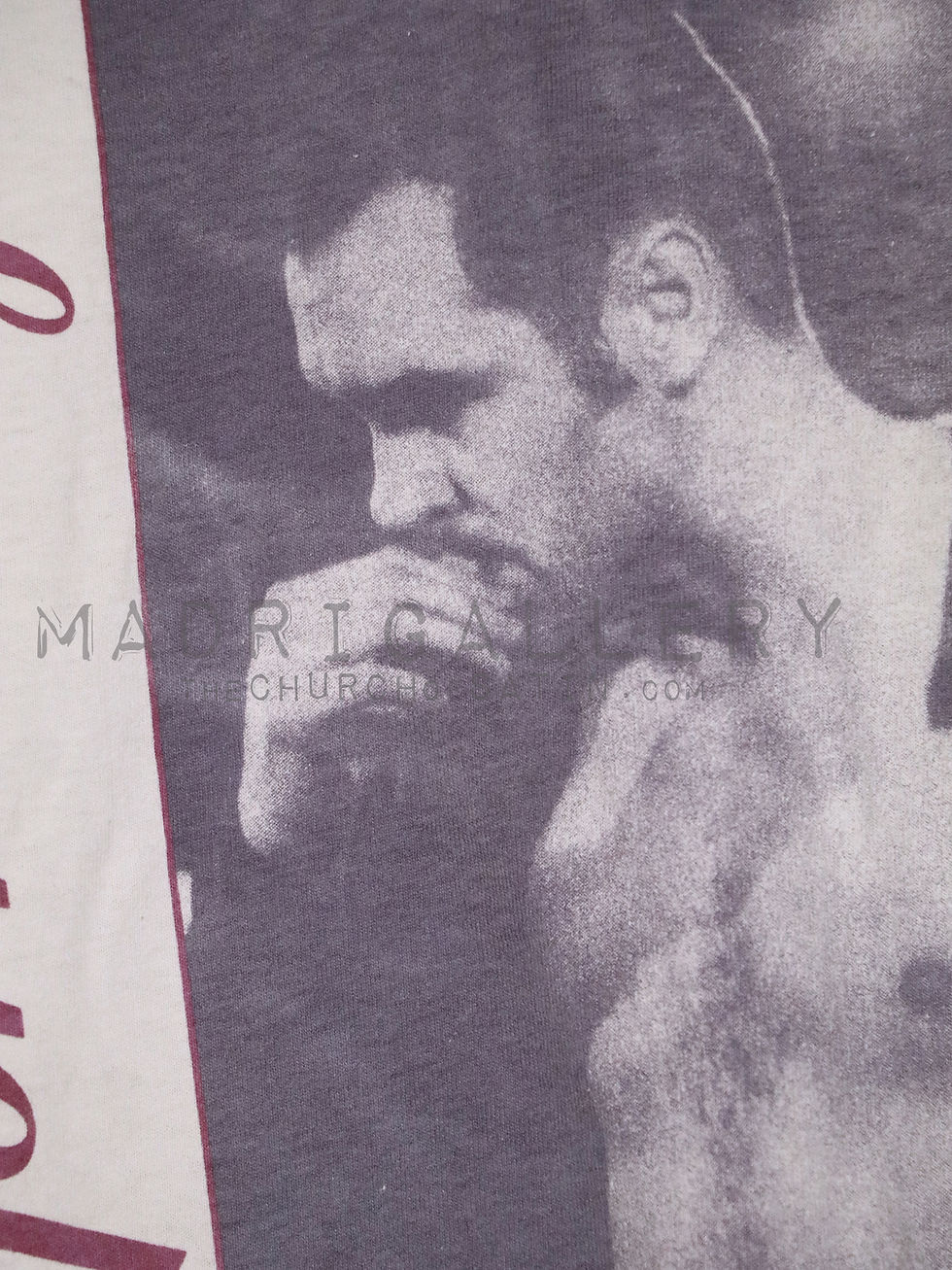 Thumbnail: MORRISSEY shirt (Smiths Joy Division Depeche Mode Echo Bunnymen Nick Cave Sioux)